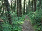 The Starway Trail starts out at a fairly low elevation and quickly climbs and climbs.