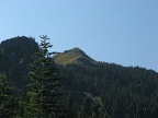 Looking up at Silver Star Mountain from the Bluff Mountain Trail.