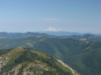 Looking at Mt. Adams from the Starway Trail.