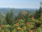 The Mountain Ash are just beginning to show their fall colors at the time of this hike.