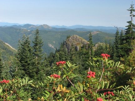 The Mountain Ash are just beginning to show their fall colors at the time of this hike.