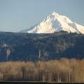 Travelling east, the trail uses an existing dike. Mt. Hood is partially eclipsed by the foothills to the southeast.