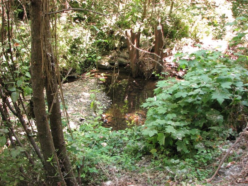 The beginning of the Macleay trail paralells Balch Creek. In summer the creek is a very small brook.