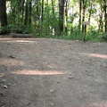 This is where the Wildwood Trail crosses the Dogwood Trail. You can see the signs have been vandalized so the junction isn't signed when this photo was taken in August 2010.