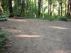 This is where the Wildwood Trail crosses the Dogwood Trail. You can see the signs have been vandalized so the junction isn't signed when this photo was taken in August 2010.