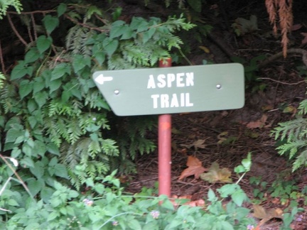 The Aspen Trail starts on Aspen Road and goes back up to the Wildwood Trail. Here is the trail sign but it is off in the bushes a bit.