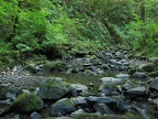 Balch Creek flows past the stone house and sitting on the rocks in the stream. The flowing water drowns out any sounds of the city.