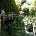 The Sweet Creek Trail goes through a small canyon and an elevated walkway gives a great view of the creek while providing great views of the creek.