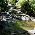 A view of Sweet Creek as it flows along the trail.