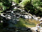 A view of Sweet Creek as it flows along the trail.