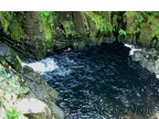 Sweet Creek Falls cascades into a nice swimming hole.