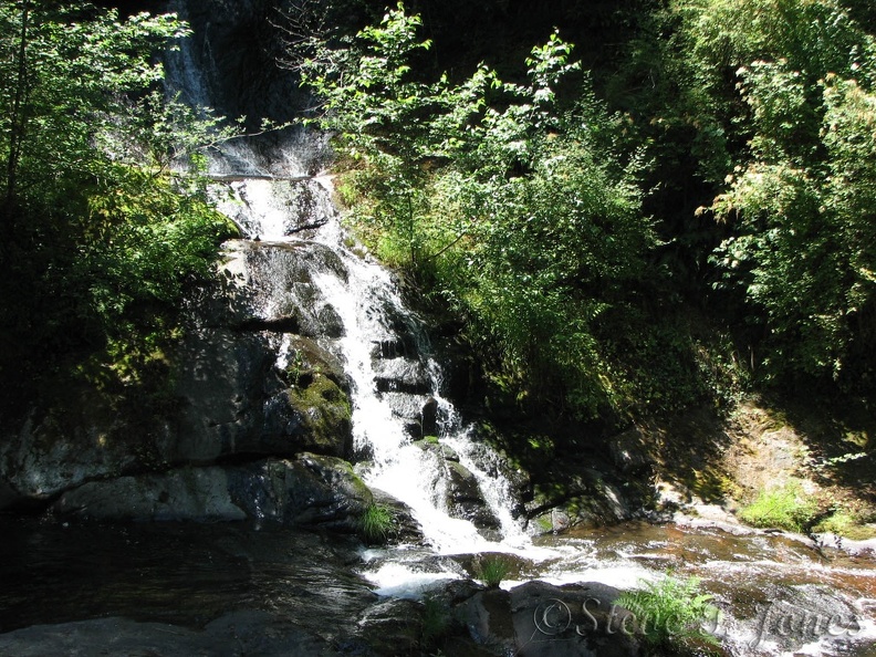 A small tributary stream tumbles down to join Sweet Creek Falls.