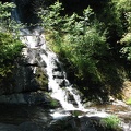 A small tributary stream tumbles down to join Sweet Creek Falls.