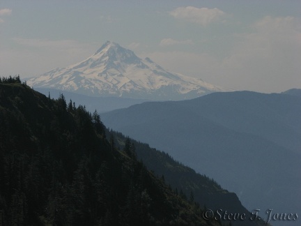 Mt. Hood towers above the Gorge as viewed from the PCT on the way to Table Mountain.