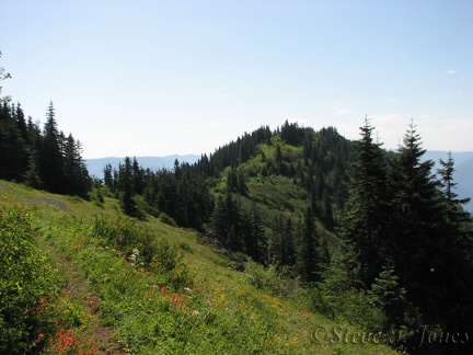 Looking south across another field of wildflowers on the PCT heading to Table Mountain.