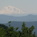 This trail has great views of Mt. Adams and Mt. Hood in many places.