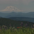 Table Mountain has some really fine views of Mt. Adams. Here I was able to get some wildflowers in the bottom of the picture for some perspective.