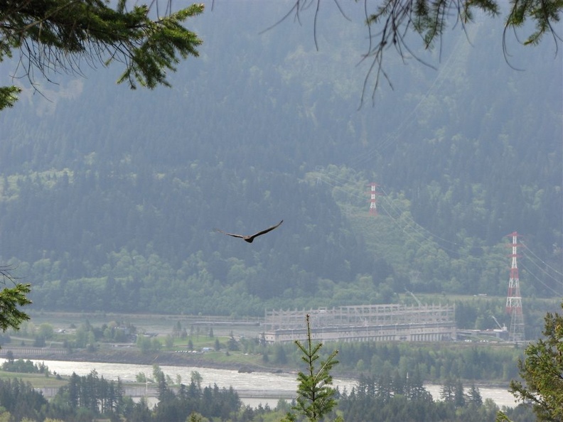 View of Bonneville Dam from the Pacific Crest Trail