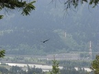 View of Bonneville Dam from the Pacific Crest Trail