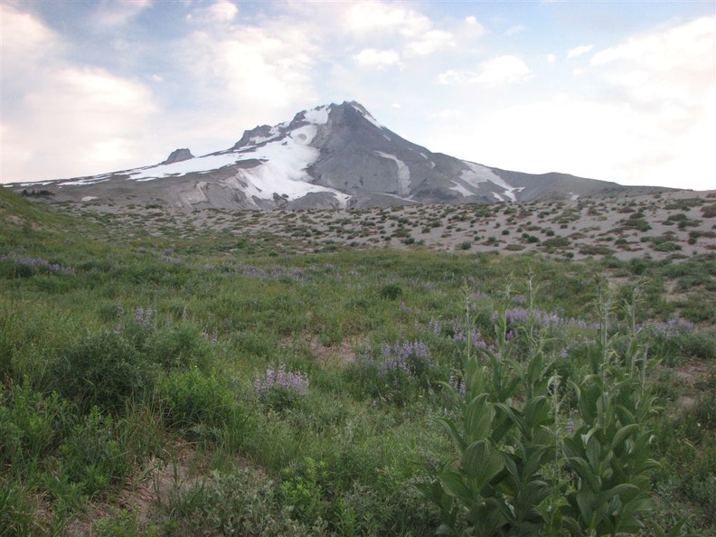 Mt. Hood from the Pacific Crest/Timberline Trail.