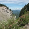 Looking southwest along the Timberline Trail.