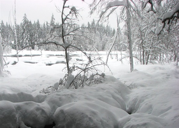 Winter snows cover Longmire Meadows in January.