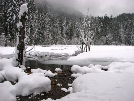 A small beaver pond is fed by springs in the meadows. The water is warm enough to stay open even though snow convers the rest of Longmire Meadows.