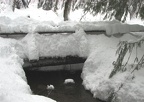 Snow buries a bridge on the southwest side of Longmire Meadows. The water is still warm enough to stay open all winter.