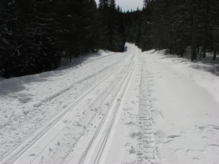 In winter the Forest Service road becomes a groomed trail through the forest around Trillium Lake. Remember not to walk or snowshoe on top of the cross-country ski tracks because it makes it harder for the skiers to use the trail.