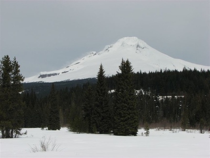 Mt. Hood as seen from Summit Prairie Meadows along the Trillium Lake Trail.