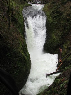 This is a 60 foot waterfall on Oneonta Creek on Horsetail Creek Trail, just above the steel and wood bridge over Oneonta Creek. Oneonta Falls is just downstream from this waterfall.