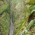 Looking down at Oneonta Gorge from Oneonta Trail. Oneonta Gorge is a narrow slot-canyon that ends at a waterfall. The vertical band of water in the photo is about 150 feet below the trail and it is flowing towards the top of the picture. I-84 is at the to