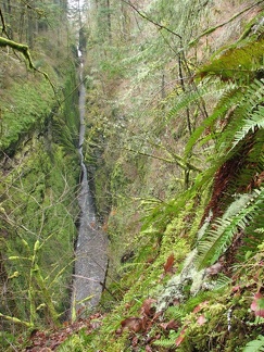 Looking down at Oneonta Gorge from Oneonta Trail. Oneonta Gorge is a narrow slot-canyon that ends at a waterfall. The vertical band of water in the photo is about 150 feet below the trail and it is flowing towards the top of the picture. I-84 is at the to