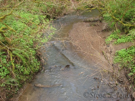 Tryon Creek flows through the park.