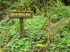 Moss covered sign for Cedar Hiking Trail. I wonder how often the moss has to be scraped off.