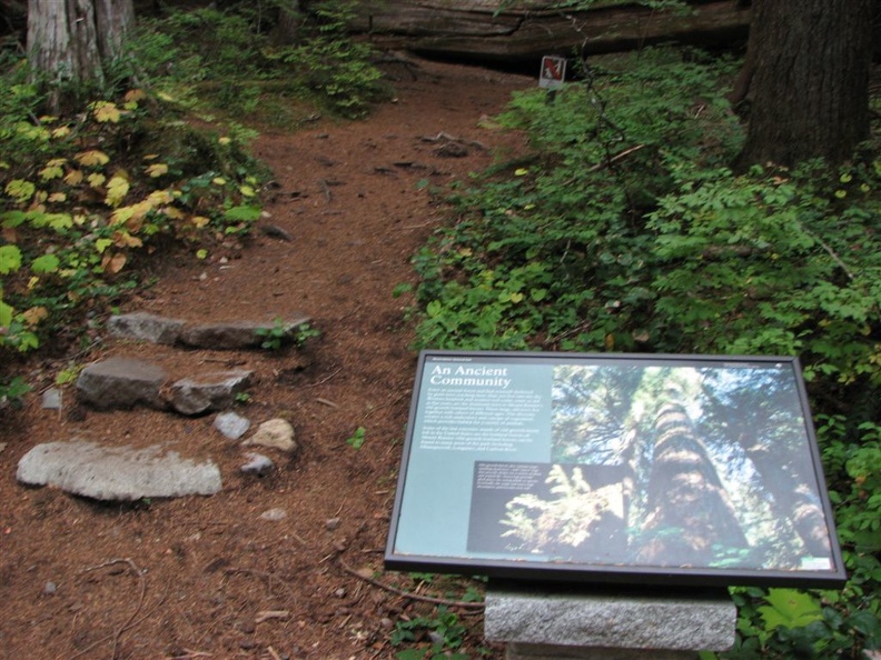 Twin Firs Trailhead on the south side of Mt. Rainier National Park.