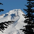 Summit of Mt. Hood from the snowshoe trail from Barlow Pass to Twin Lakes, OR