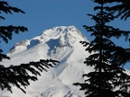 Summit of Mt. Hood from the snowshoe trail from Barlow Pass to Twin Lakes, OR
