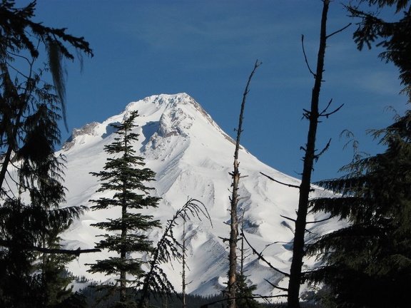 Mt. Hood from the snowshoe trail from Barlow Pass to Twin Lakes, OR