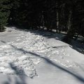 Pacific Crest Trail from Barlow Pass to Twin Lakes, showing snowshoe track of previous hikers. This is near Barlow Pass, OR