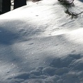 Sunlight reflecting off the frost crystals in the snow along the Pacific Crest Trail between Barlow Pass and Twin Lakes, OR. Older snow can get relatively large ice crystals like these.