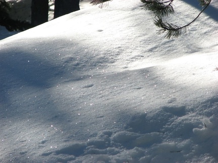 Sunlight reflecting off the frost crystals in the snow along the Pacific Crest Trail between Barlow Pass and Twin Lakes, OR. Older snow can get relatively large ice crystals like these.