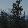 Looking south to Mt. Jefferson from the promontory which is west of the Twin Lakes Trail.