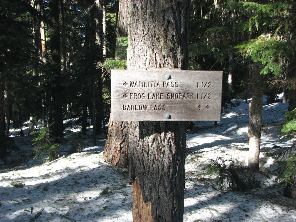 The second junction for Twin Lakes Trail. This is a popular trail and it is hard to lose the way because the cleared trail is a gap in the trees.