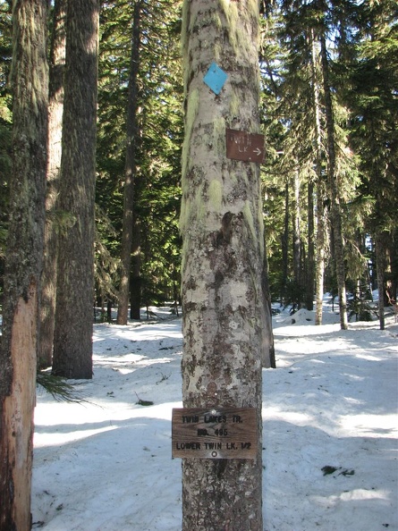 The second junction for Twin Lakes Trail. This is a popular trail and it is hard to lose the way because the cleared trail is a gap in the trees.