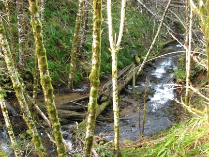 Nearing University Falls, the trail looks down on Elliott Creek.