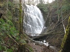 University Falls cascades about 55 feet down a basalt slope. The trail ends with a closeup view of the falls.