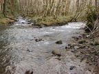 Two streams come together just above the log crossing over the Devils Lake fork of the Wilson River. Looks like a great place to go wading in the summer.