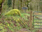 Trailhead photo for Wahclella Falls