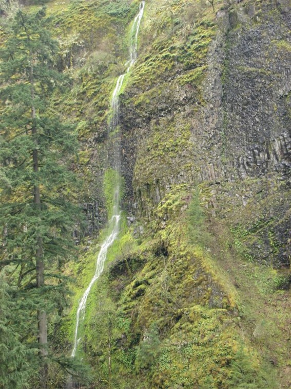 Veil waterfall off the westside canyon wall near Wahclella Falls